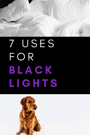 black light flashlight lamp