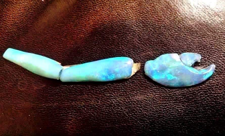 crab claw turned into opal