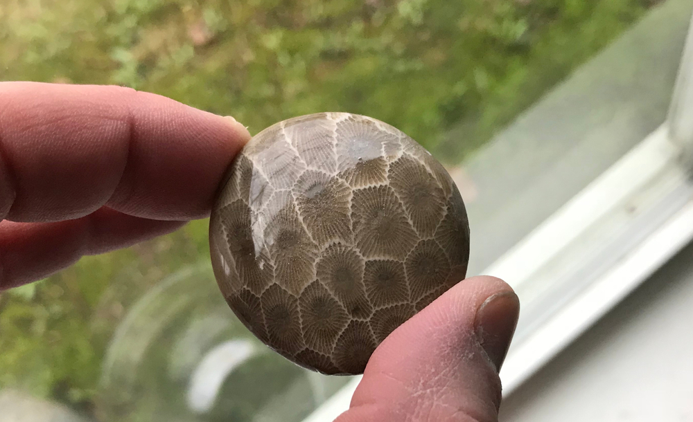 round polished petoskey stone